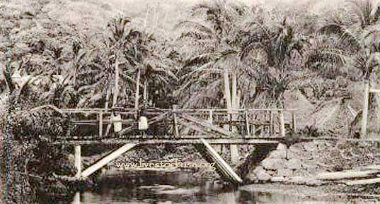 Old Fiji Postcard