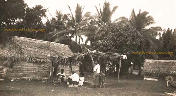 Vavau Hut